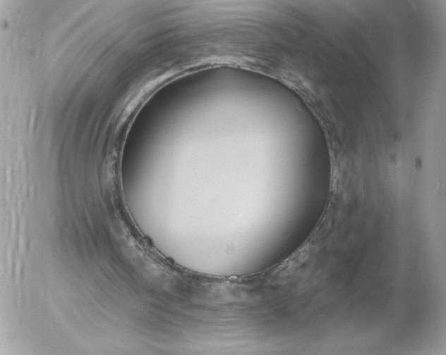 X0000052940098200507221157