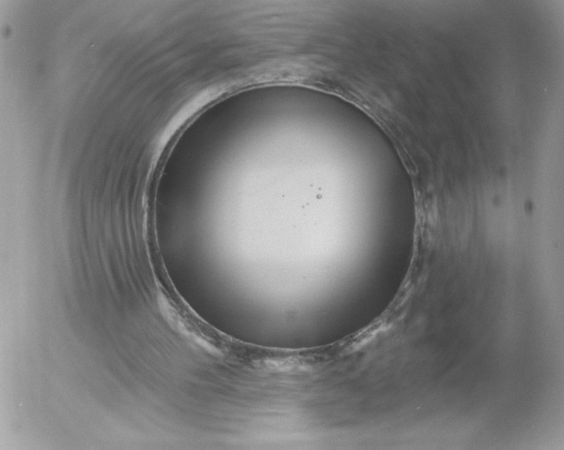 X0000052940100200507221157