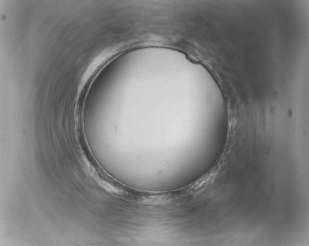 X0000052940102200507221156