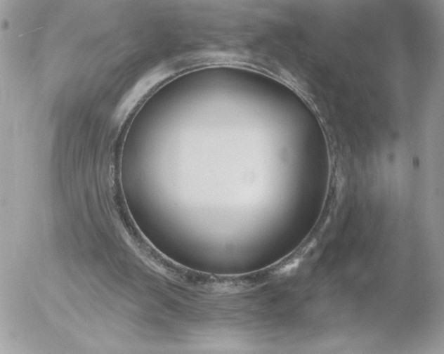 X0000052940103200507221156