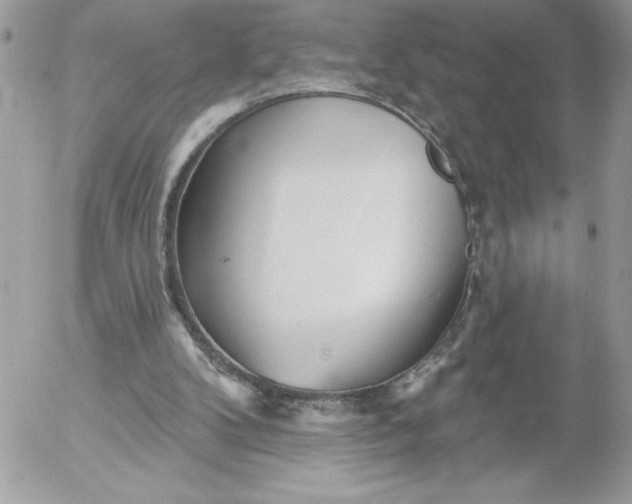 X0000052940104200507221156