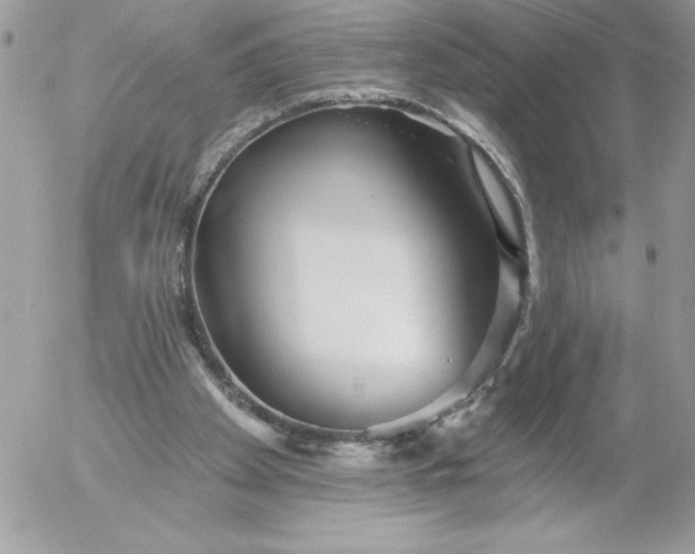 X0000052940105200507221156