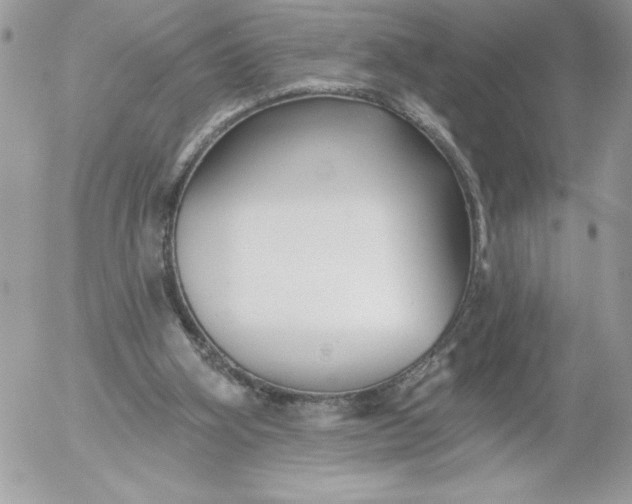 X0000052940106200507221156