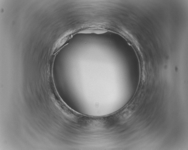 X0000052940107200507221156