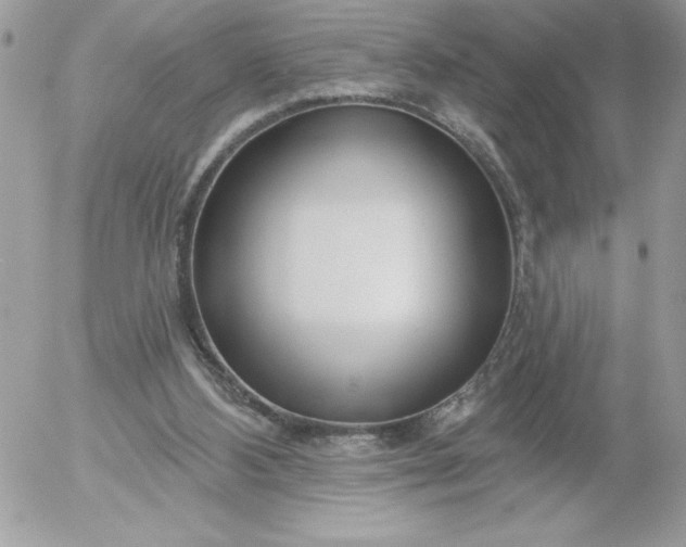 X0000052940108200507221156