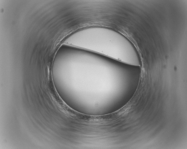 X0000052940109200507221156