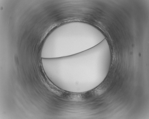 X0000052940110200507221156