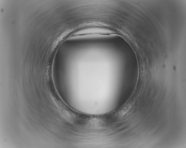 X0000052940111200507221156