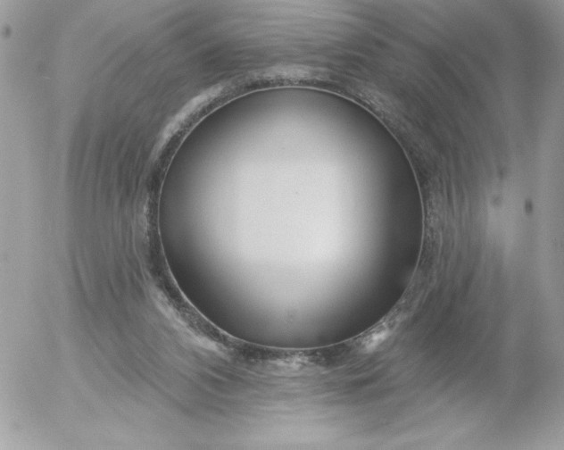 X0000052940112200507221156