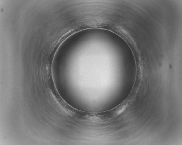 X0000052940113200507221156