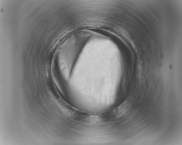 X0000052940114200507221156