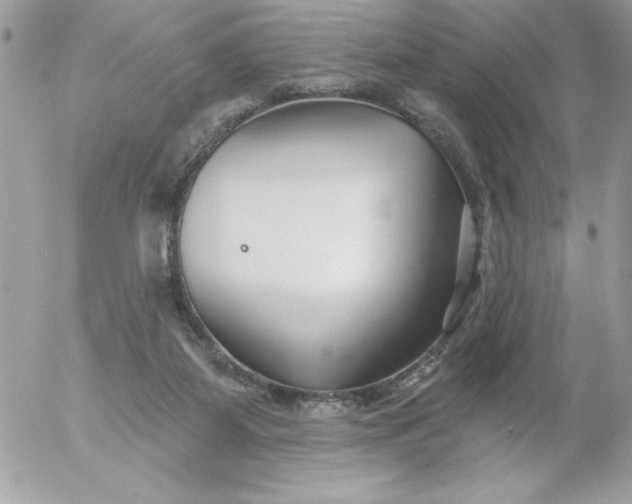 X0000052940115200507221156