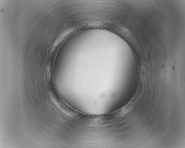 X0000052940116200507221156