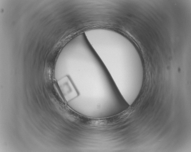 X0000052940117200507221156