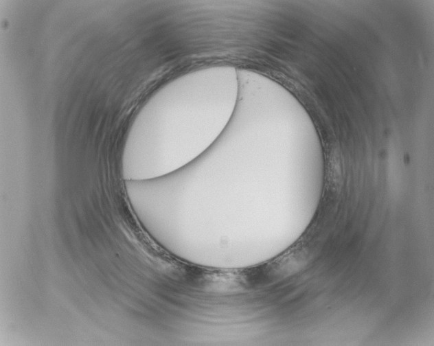 X0000052940118200507221156