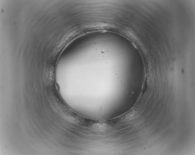 X0000052940119200507221156