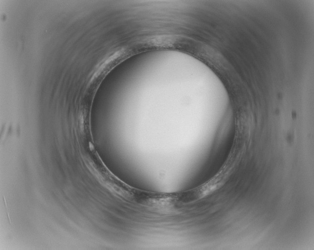 X0000052940120200507221156