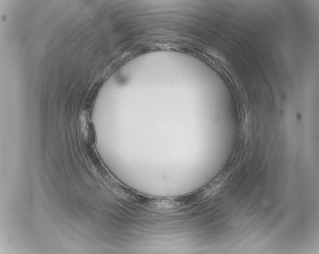 X0000052940121200507221156