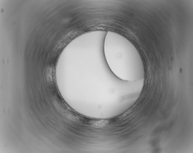 X0000052940122200507221156