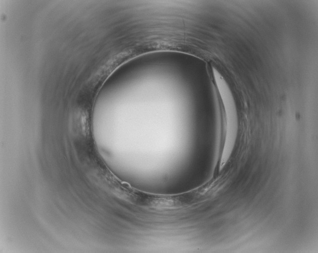 X0000052940123200507221156