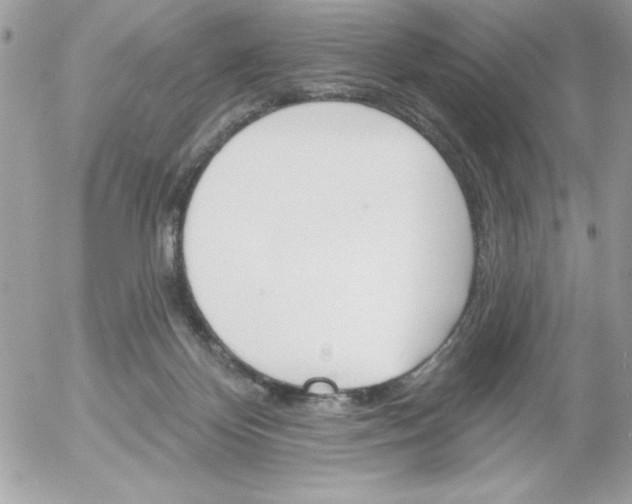 X0000052940124200507221156