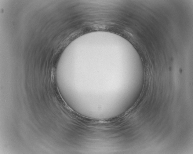 X0000052940125200507221156