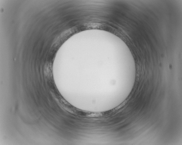 X0000052940126200507221156