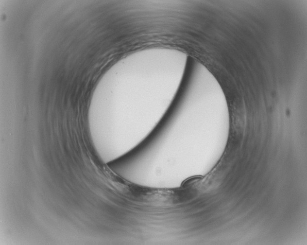 X0000052940128200507221156