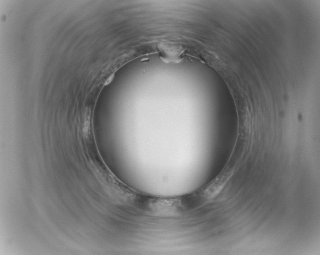 X0000052940129200507221156