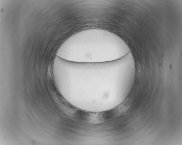 X0000052940130200507221156