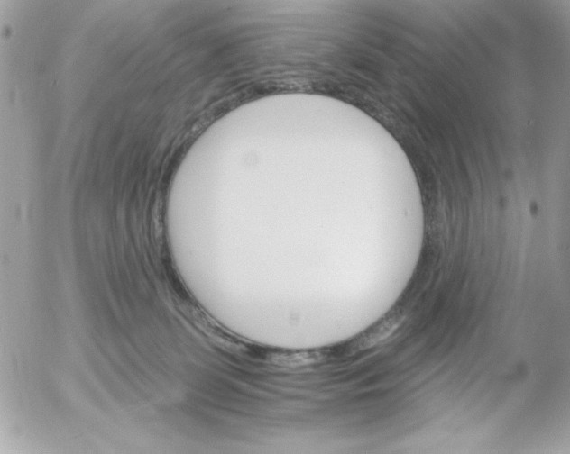 X0000052940131200507221156