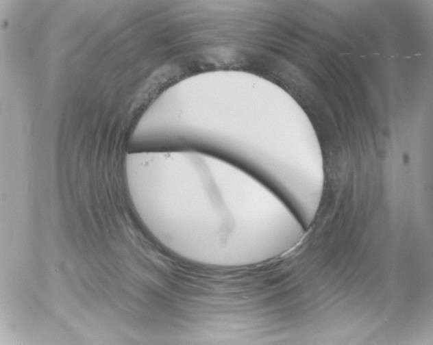 X0000052940132200507221156