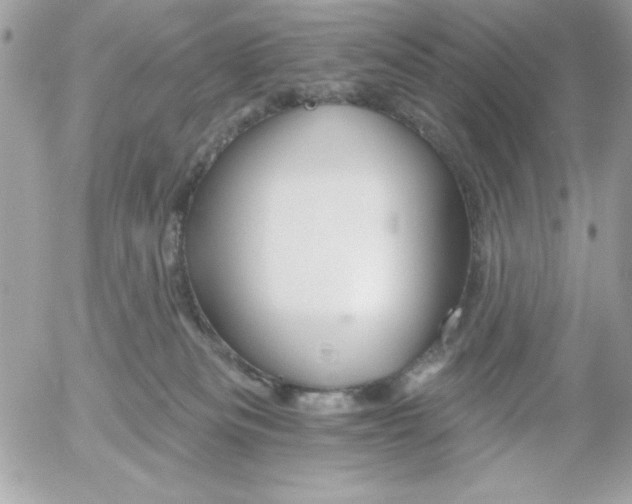 X0000052940133200507221156