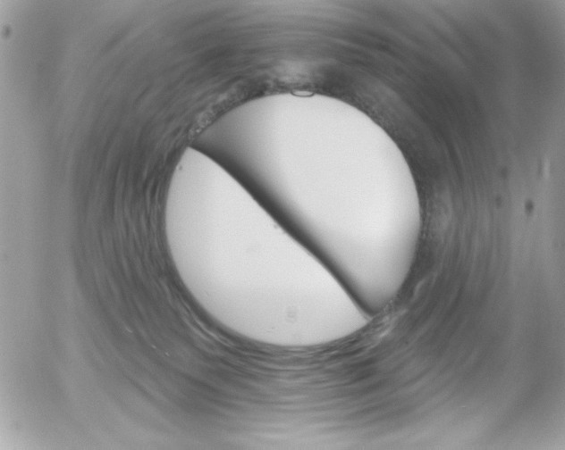 X0000052940135200507221156