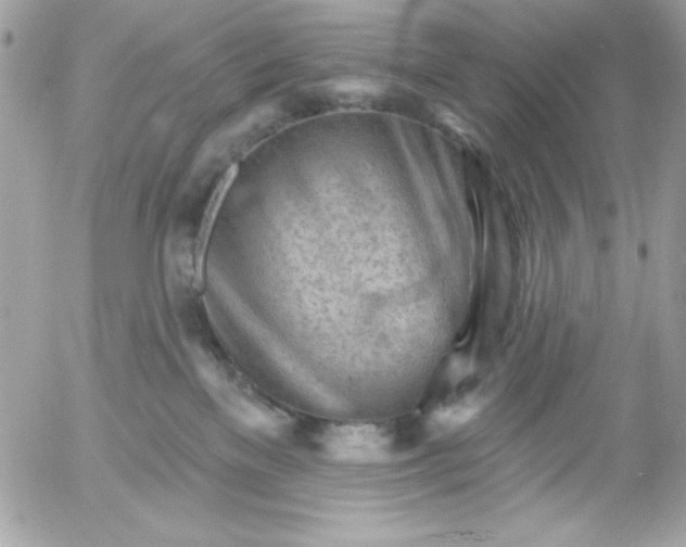 X0000052940137200507221156