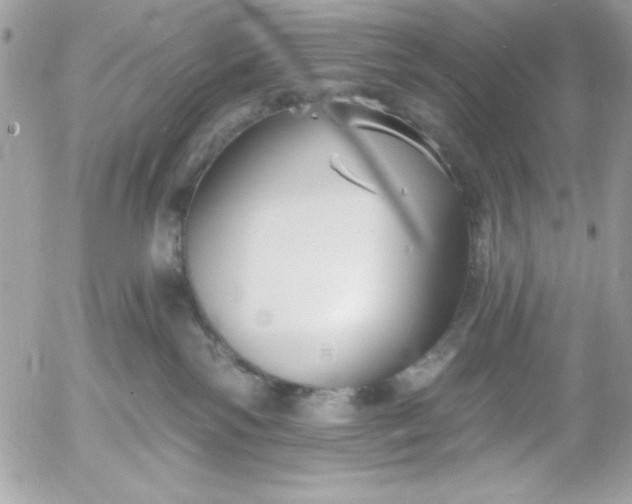 X0000052940138200507221156