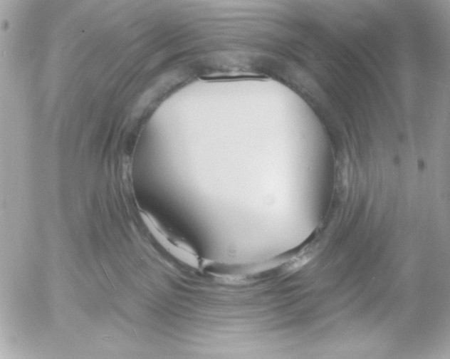 X0000052940141200507221156