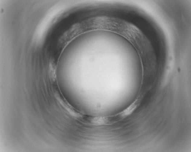 X0000052940142200507221156