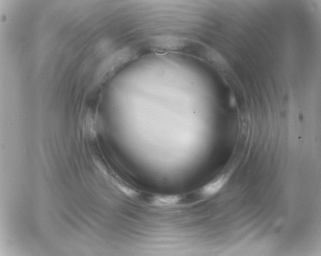 X0000052940143200507221156