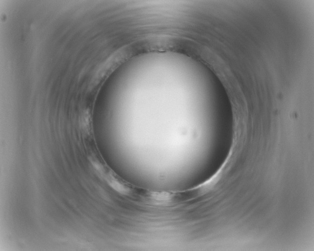 X0000052940144200507221156