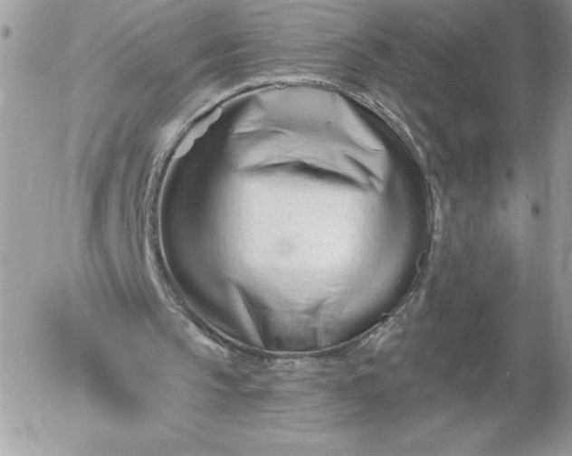 X0000052940145200507221155