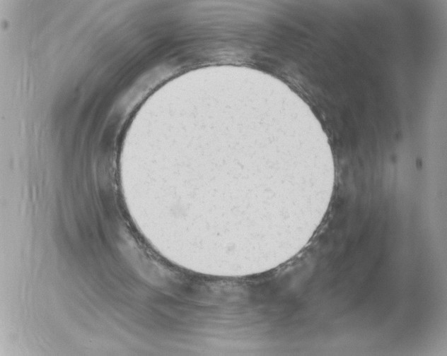 X0000052940146200507221155