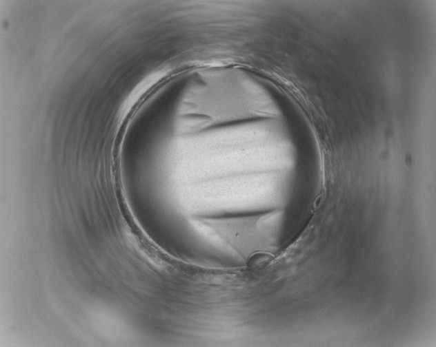 X0000052940147200507221155