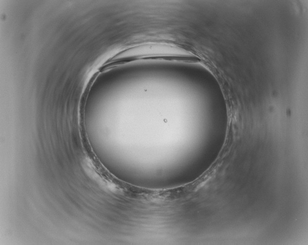 X0000052940148200507221155