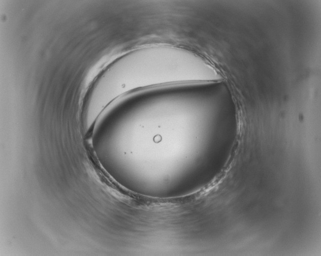 X0000052940150200507221155