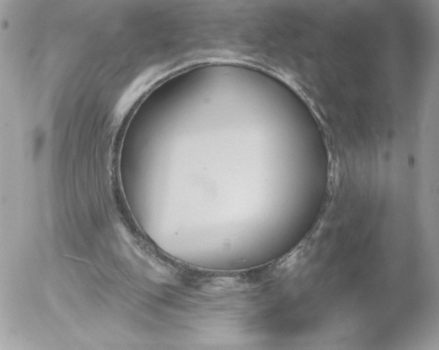 X0000052940151200507221155