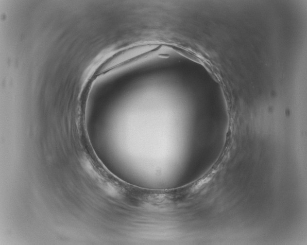 X0000052940152200507221155