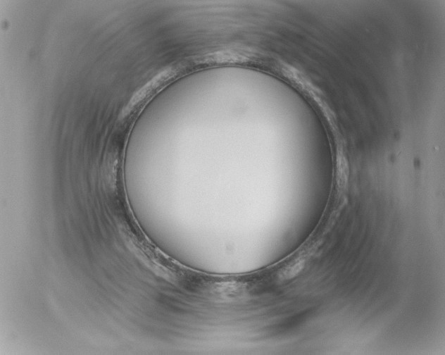 X0000052940153200507221155