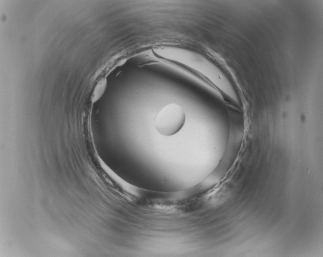 X0000052940154200507221155