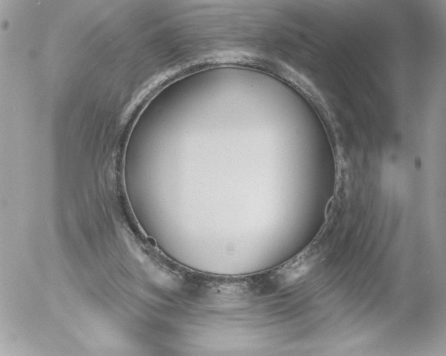 X0000052940155200507221155